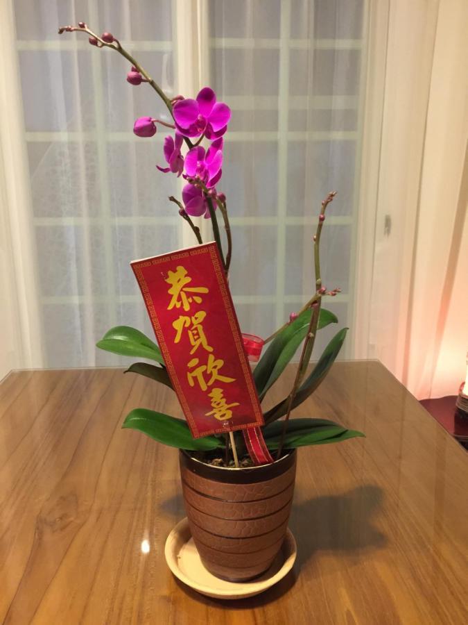 Bridge Bed And Breakfast Kota Hualien Bagian luar foto